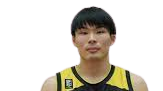 山形飞龙