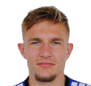 纳斯特维德
